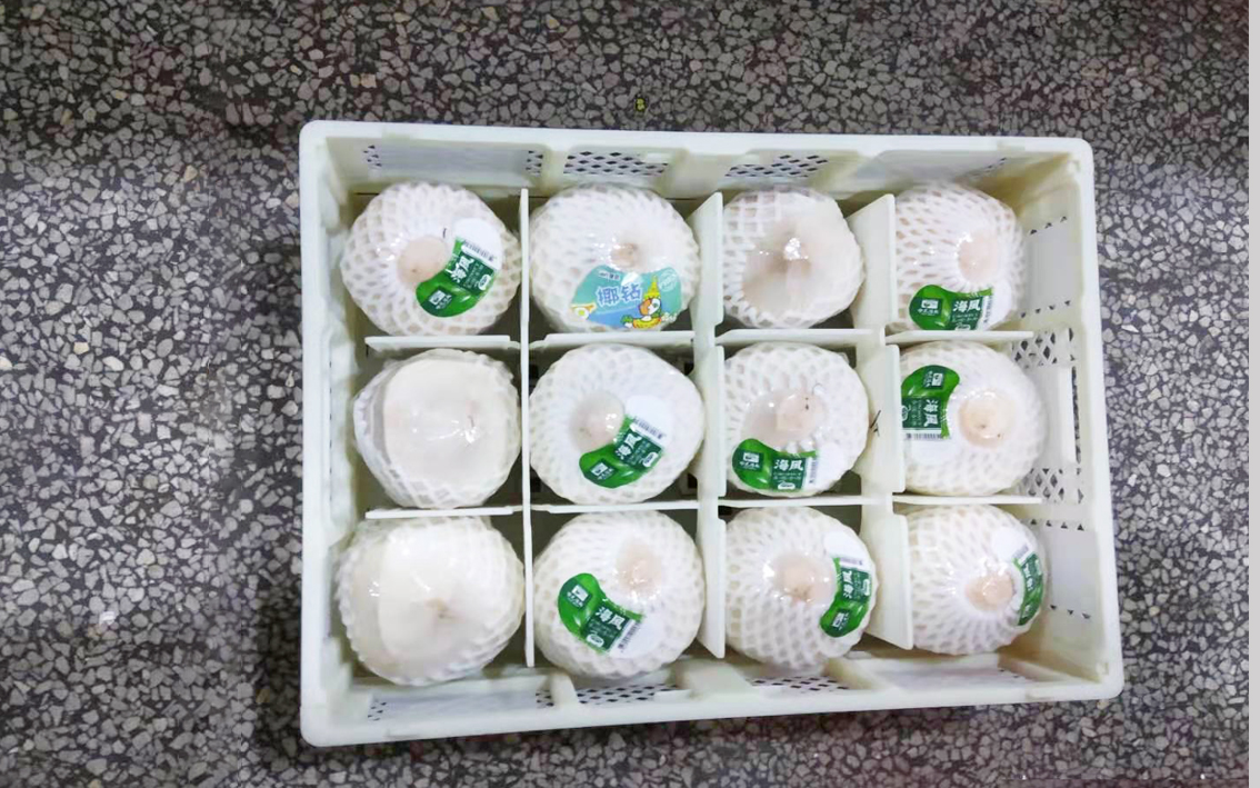 Tender Coconut Folding Crate Customization Services